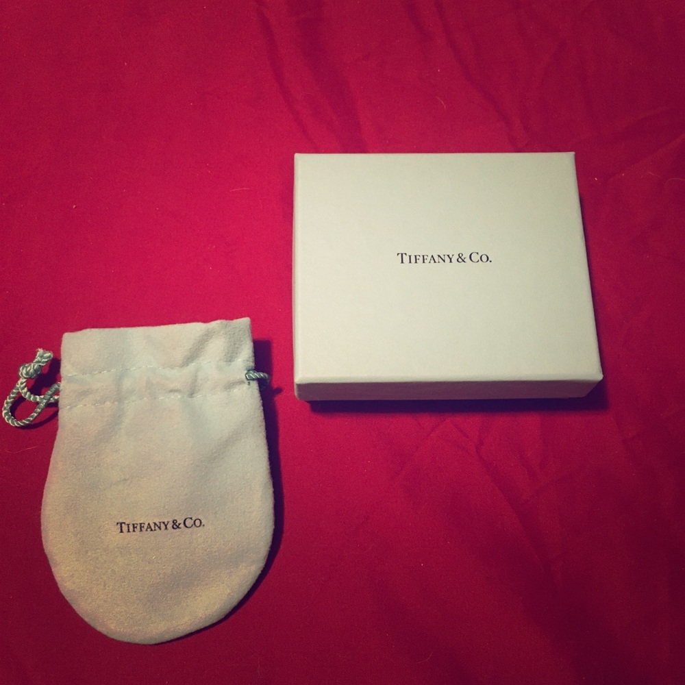 Tiffanys box with matching jewelry bag and Louis V